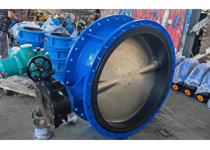 What are the sealing surfaces on a valve?
